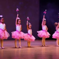 Boca Dance Studio ico