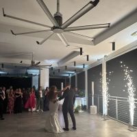 The Wedding Dance ico