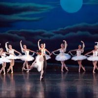 Boca Ballet Theatre ico