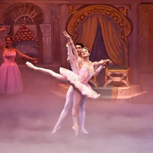 Boca Ballet Theatre Picture 2