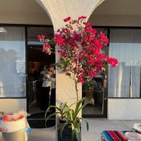The Delray Ballroom ico