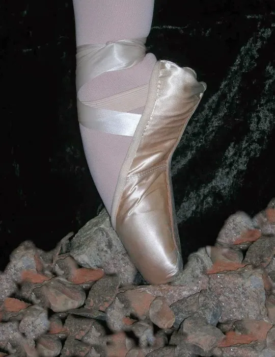 Southern Dance Theatre Picture 6