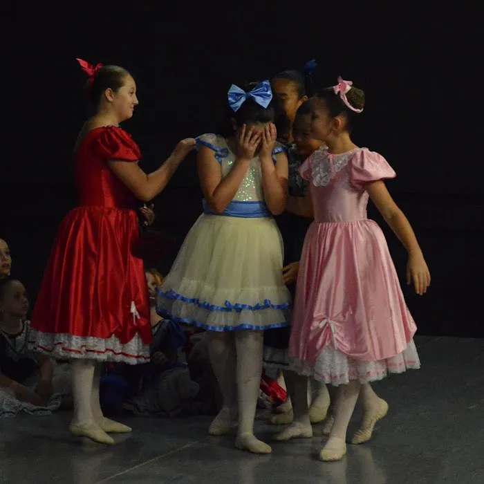Dance Arts Conservatory Inc Picture 2