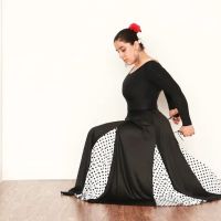 Flamenco Soul Academy ico