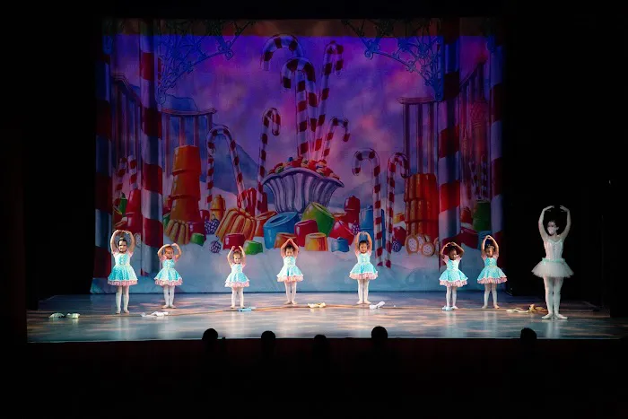 Precision Dance Conservatory Picture 1