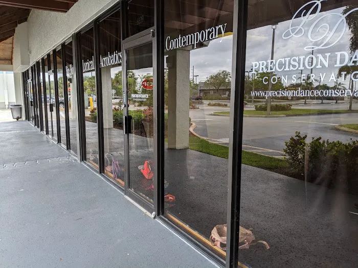Precision Dance Conservatory Picture 9