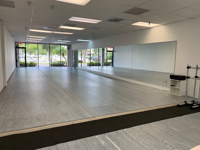 Precision Dance Conservatory Picture 2