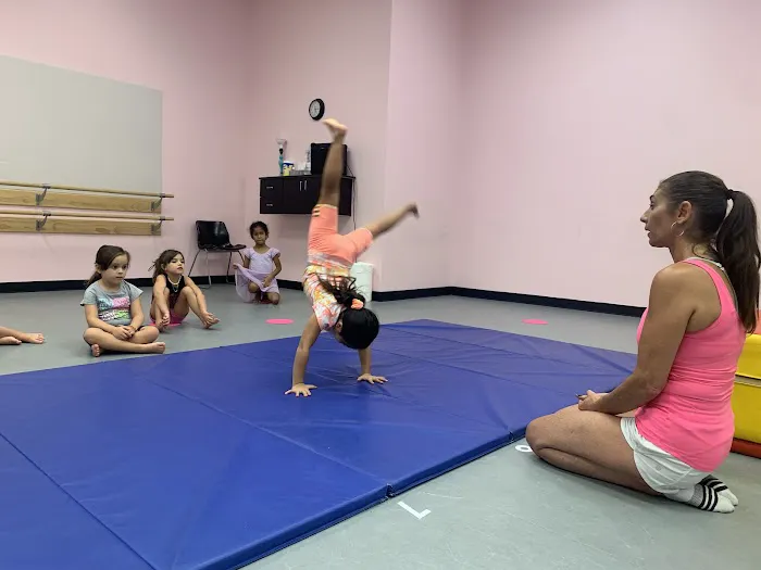 Dance Theatre At Wellington Picture 7