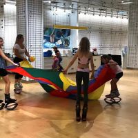 CHEEKY FITNESS Personal Training Pole Dancing & Fitness ico