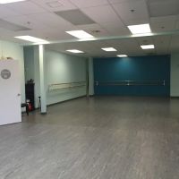 Academy of Dance, Music & Theatre ico