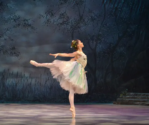 Ballet Palm Beach Picture 7