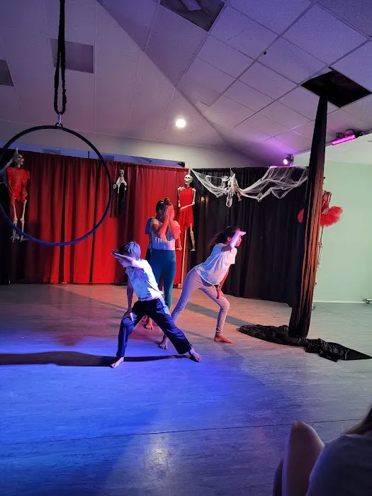 Preston Contemporary Dance Theatre Picture 6