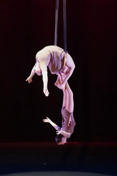 Florida Aerial Dance & Circus Arts LLC Picture 2