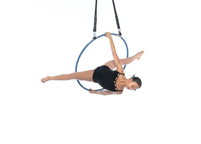 Florida Aerial Dance & Circus Arts LLC Picture 9