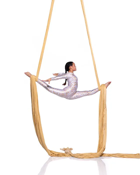 Florida Aerial Dance & Circus Arts LLC Picture 7