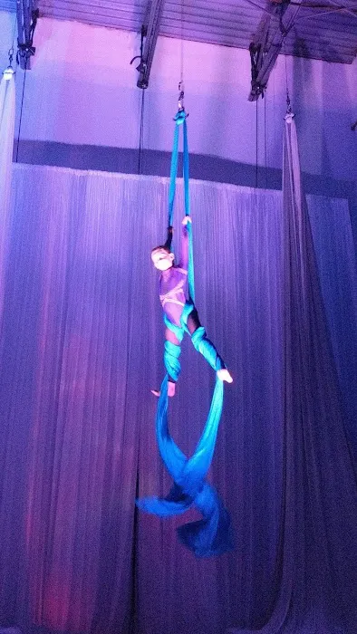 Florida Aerial Dance & Circus Arts LLC Picture 6