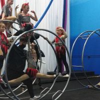 Florida Aerial Dance & Circus Arts LLC ico