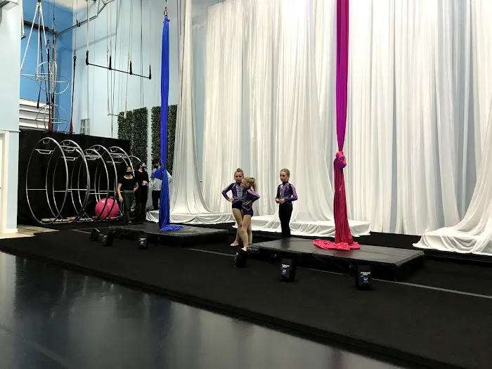 Florida Aerial Dance & Circus Arts LLC Picture 3