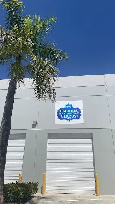 Florida Aerial Dance & Circus Arts LLC Picture 4