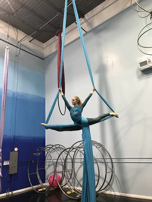 Florida Aerial Dance & Circus Arts LLC Picture 5