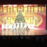 The Dance Academy of Stuart ico