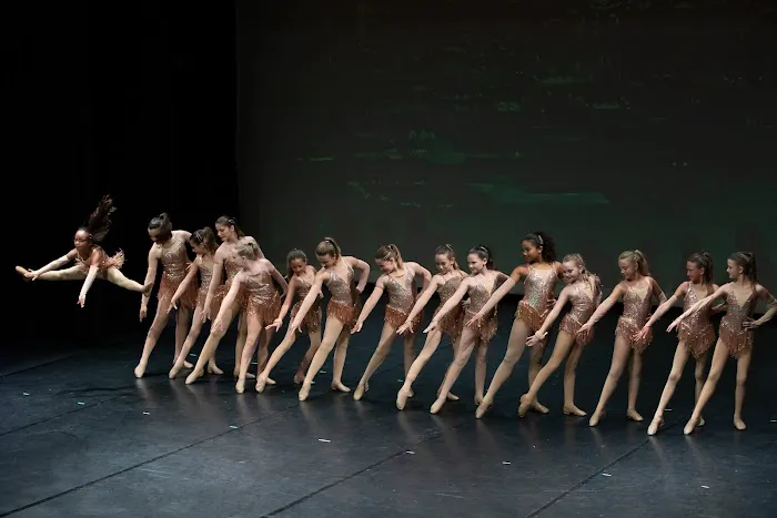 The Dance Academy of Stuart (Palm City) Picture 3