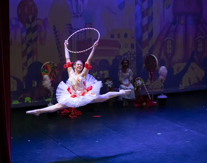The Dance Academy of Stuart (Palm City) Picture 2