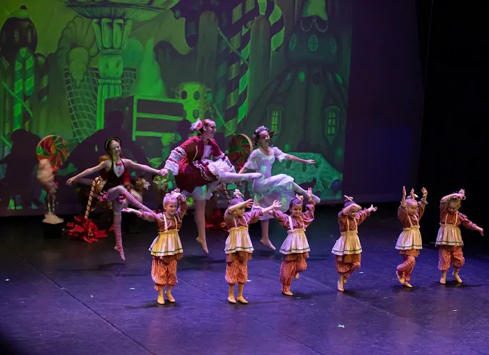 The Dance Academy of Stuart (Palm City) Picture 8