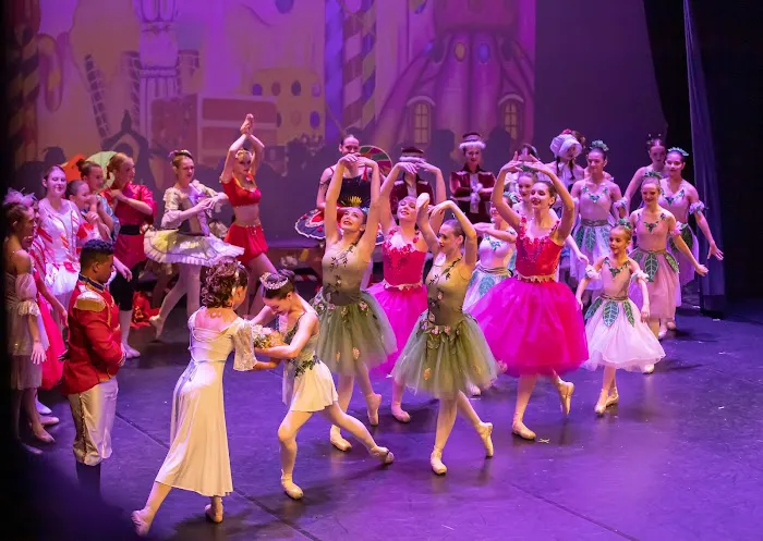 The Dance Academy of Stuart (Palm City) Picture 5