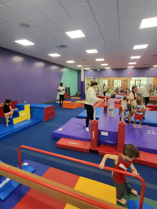 The Little Gym of Port Saint Lucie Picture 3