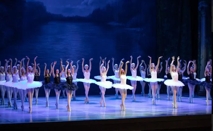 Brevard Ballet Academy Picture 8