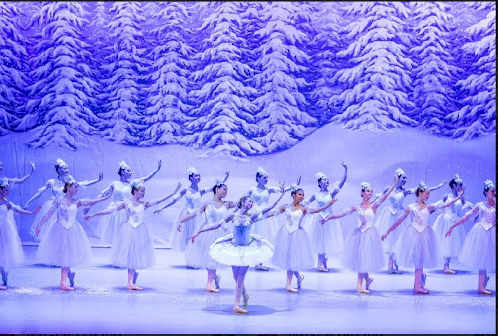 Brevard Ballet Academy Picture 5