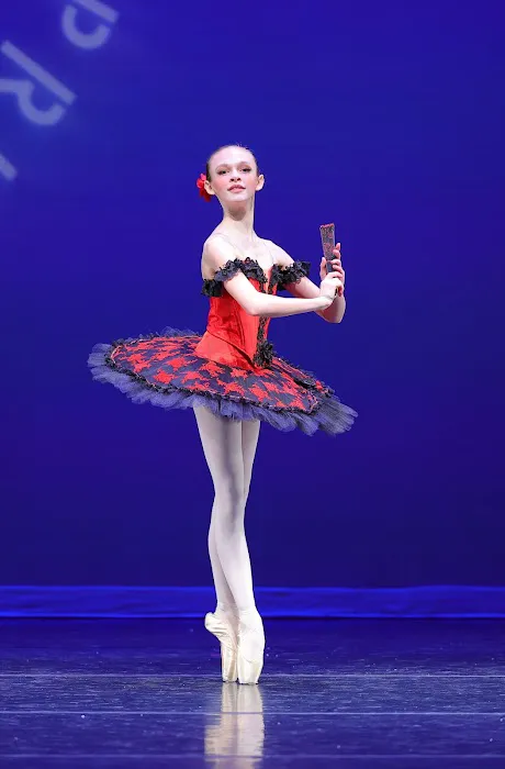 Brevard Ballet Academy Picture 6