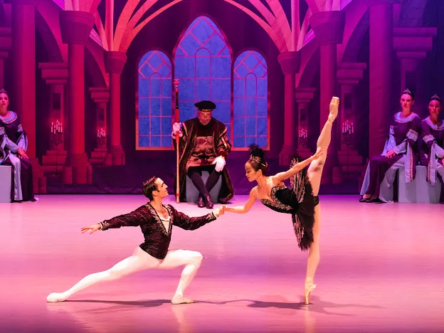 Brevard Ballet Academy Picture 3