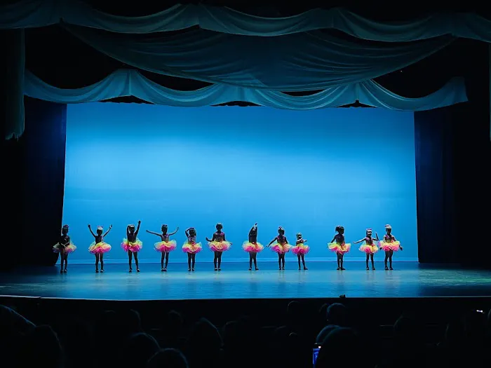 The Dance Zone Inc Picture 2