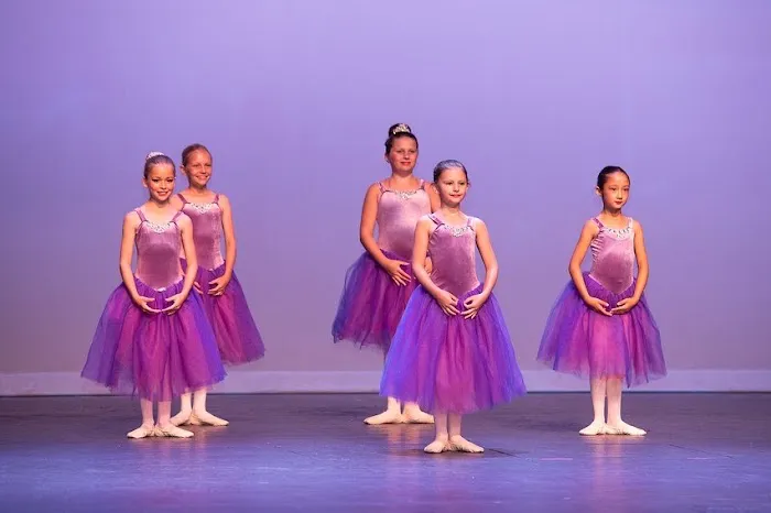 The Dance Zone Inc Picture 5