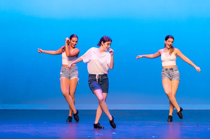 The Dance Zone Inc Picture 1