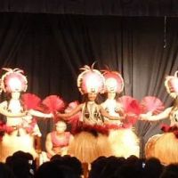 Brevard Hawaiian Dancers ico