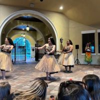 Aloha Hula Of Brevard ico