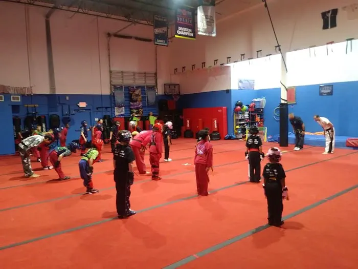 Alicea's Martial Arts Studios Picture 1