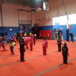 Alicea's Martial Arts Studios
