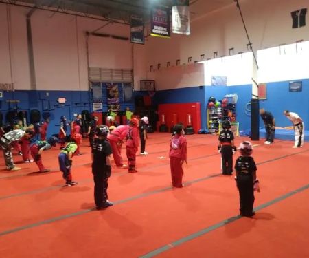 Alicea's Martial Arts Studios