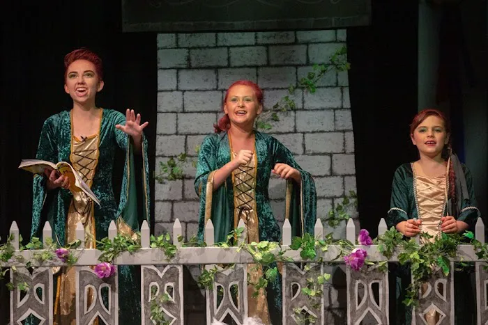 The Viera Studio for the Performing Arts Picture 6