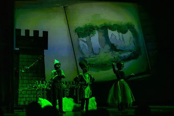 The Viera Studio for the Performing Arts Picture 5