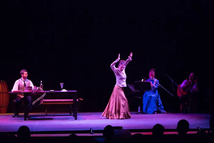 Ballet Flamenco La Rosa Picture 4