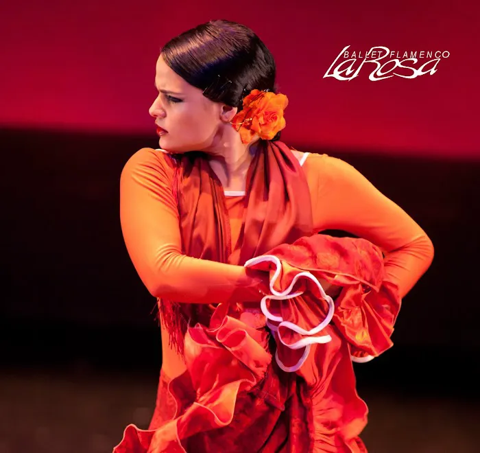 Ballet Flamenco La Rosa Picture 2