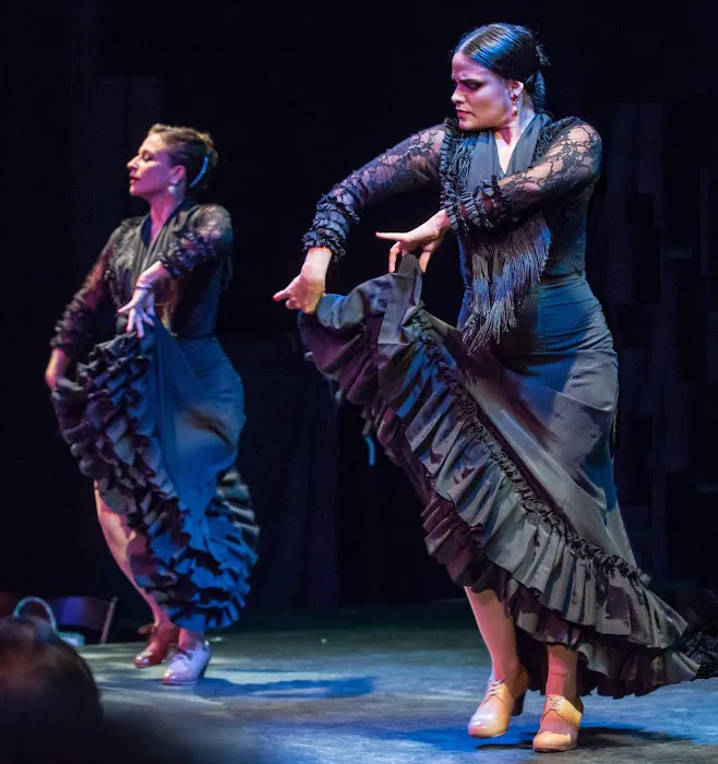 Ballet Flamenco La Rosa Picture 9