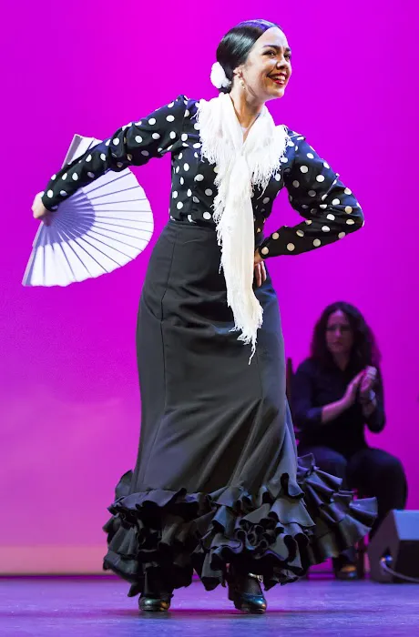 Ballet Flamenco La Rosa Picture 8