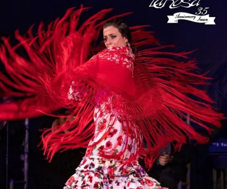 Ballet Flamenco La Rosa