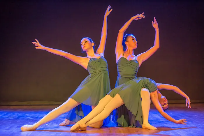 PAN, Performing Arts Network and School Picture 6